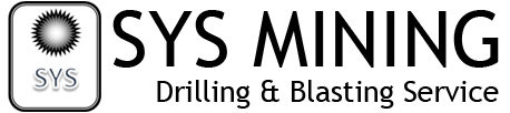 logo_sys_001